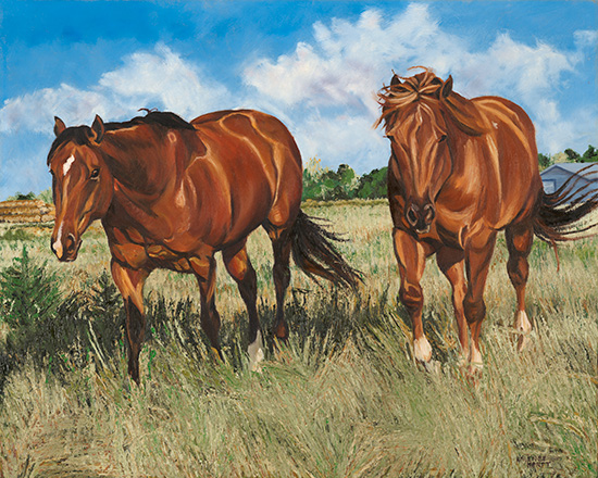 Drew's Horses