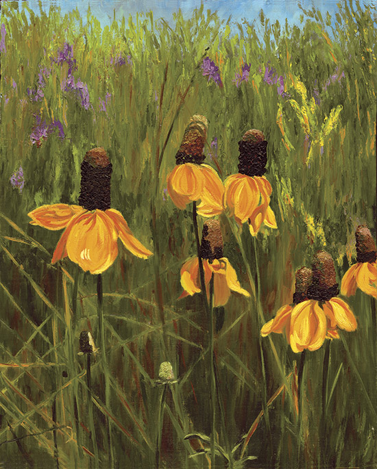 Yellow Coneflower